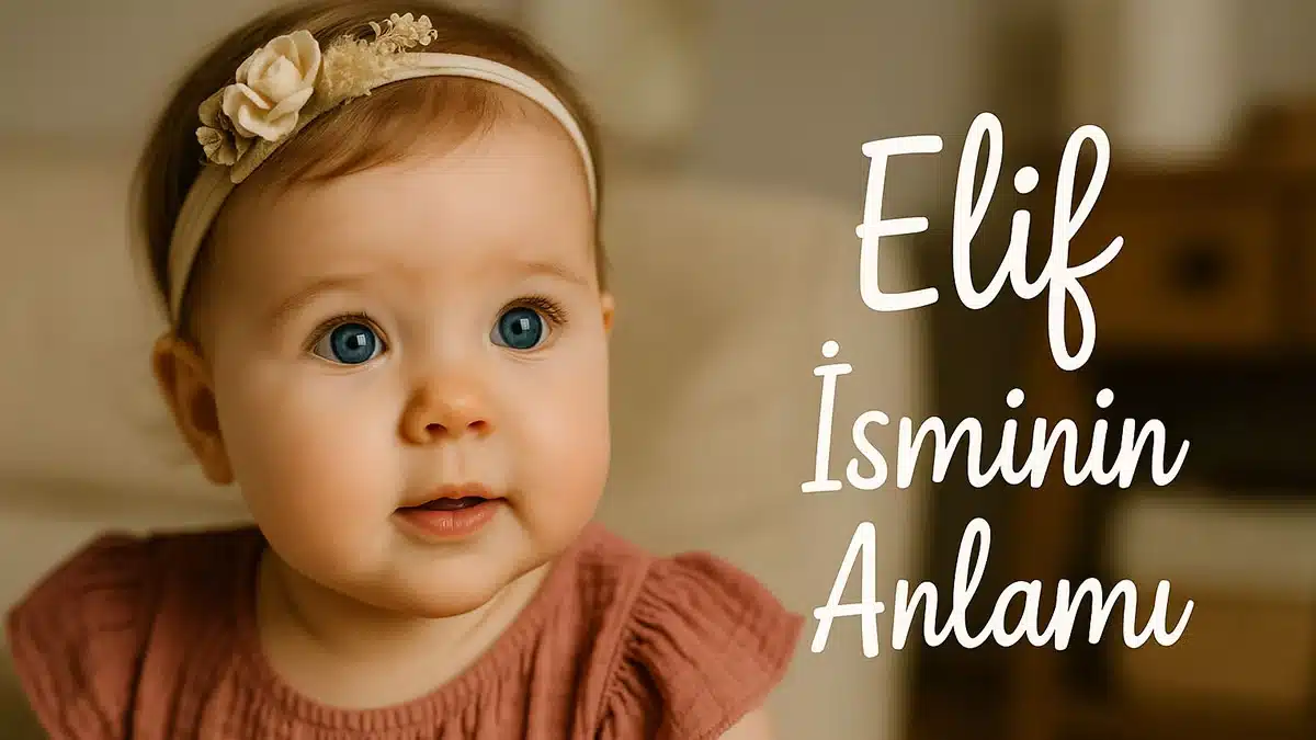 8672eb77 4d4a 4705 bf6e d21e9da50a44 wRYmw8.jpg